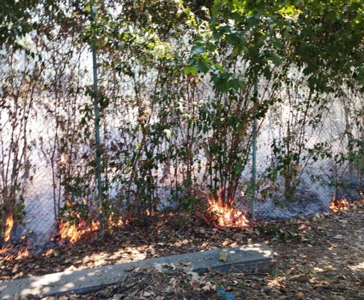 incendio via biscaretti incendio via biscaretti