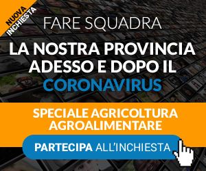 FARE SQUADRA: parte inchiesta su Agricoltura e Agroalimentare, partecipa se lavori nel settore FARE SQUADRA: parte inchiesta su Agricoltura e Agroalimentare, partecipa se lavori nel settore