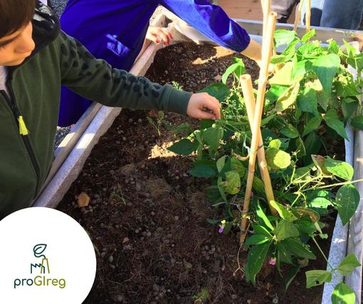 In primavera arrivano in via Roveda orti condivisi in cassone: domani la presentazione del progetto In primavera arrivano in via Roveda orti condivisi in cassone: domani la presentazione del progetto