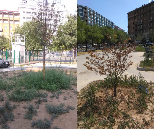 Foto dal gruppo "Sul filo di via Nizza..."
