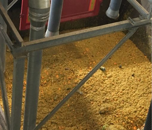 Dalla battaglia di Ivrea alla nuova vita nel polo Acea del Pinerolese per le arance del Carnevale Dalla battaglia di Ivrea alla nuova vita nel polo Acea del Pinerolese per le arance del Carnevale