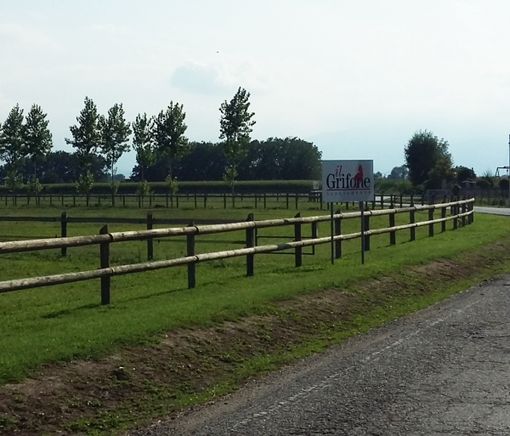 "Il Capitano" Varenne lascia Vigone... ma non si sa quando "Il Capitano" Varenne lascia Vigone... ma non si sa quando