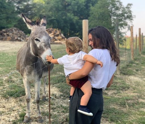Fattorie didattiche, Protopapa annuncia un nuovo regolamento regionale Fattorie didattiche, Protopapa annuncia un nuovo regolamento regionale
