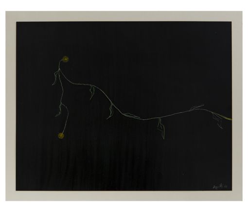 Fondazione per l’Arte Moderna e Contemporanea CRT acquista la sua prima opera a The Phair Fondazione per l’Arte Moderna e Contemporanea CRT acquista la sua prima opera a The Phair