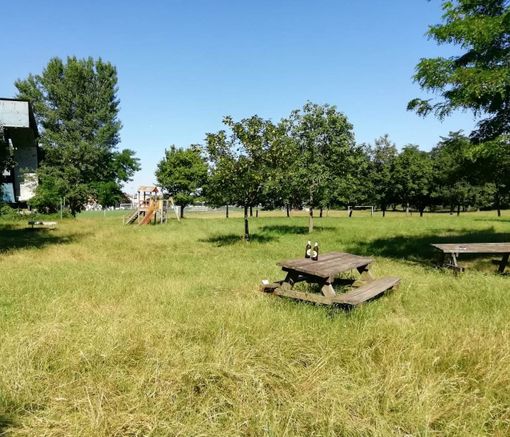 Nuovi arredi per l’area verde sul Pellice semi abbandonata a Luserna San Giovanni Nuovi arredi per l’area verde sul Pellice semi abbandonata a Luserna San Giovanni