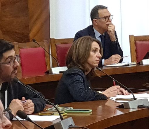 Lear, Chiorino al Mimit: “Dalla Regione misure efficaci per i lavoratori”