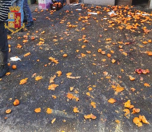 Improvvisano una battaglia delle arance: multa per sette persone a Ivrea