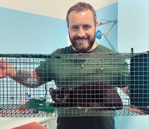 Nichelino, salvato pure l'ultimo dei 15 gattini abbandonati lungo le rive del Sangone Nichelino, salvato pure l'ultimo dei 15 gattini abbandonati lungo le rive del Sangone