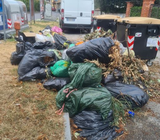 Sacchi abbandonati vicino ai cassonetti