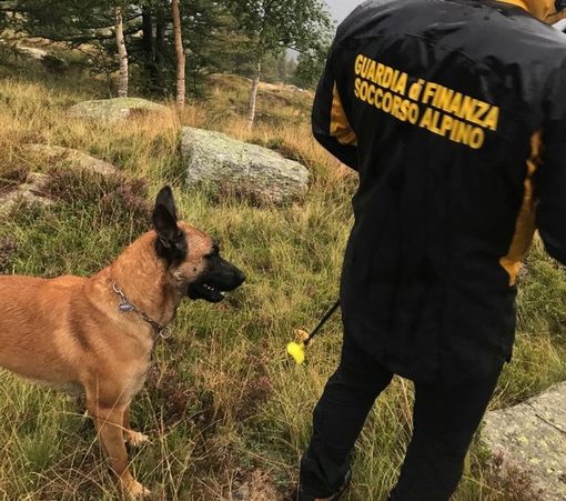 A Caselette si esercitano le unità cinofile del soccorso alpino della finanza A Caselette si esercitano le unità cinofile del soccorso alpino della finanza