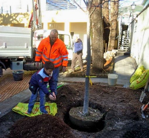 Per la Giornata Nazionale dell'Albero nuovo appuntamento di "1000 alberi per Torino" Per la Giornata Nazionale dell'Albero nuovo appuntamento di "1000 alberi per Torino"