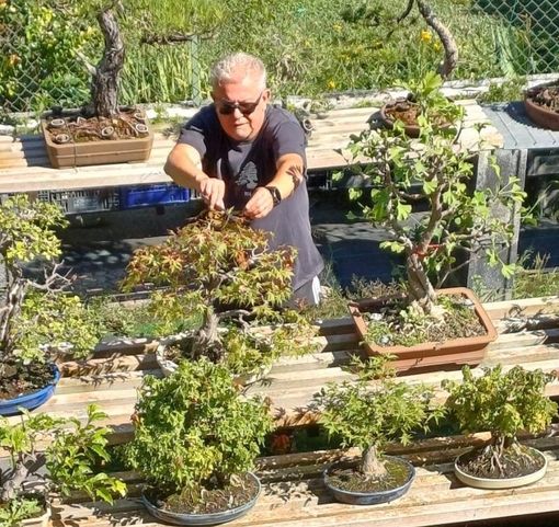 Nicola Scarafia con i suoi bonsai