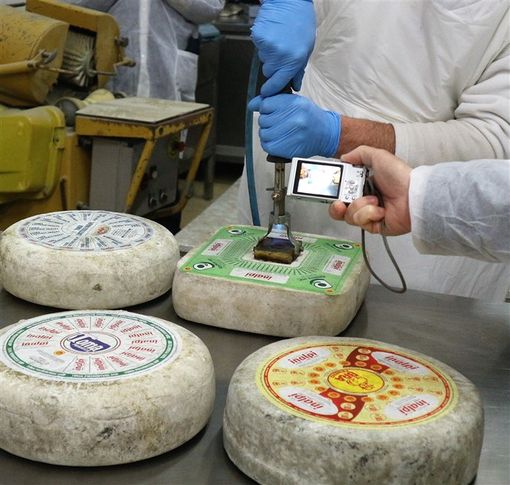 Inalpi presente anche all'edizione 2018 di Terra Madre Salone del Gusto Inalpi presente anche all'edizione 2018 di Terra Madre Salone del Gusto