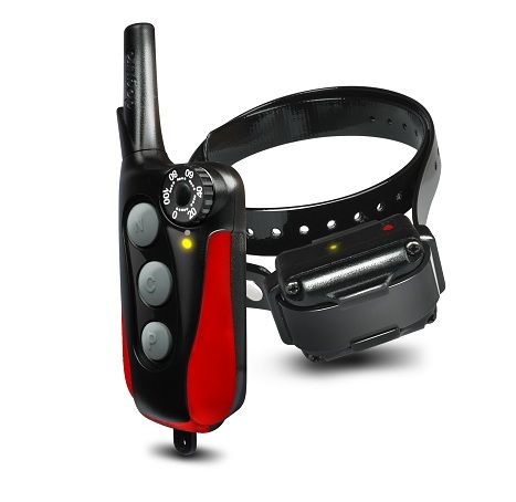 collare elettrico - foto di repertorio collare elettrico - foto di repertorio