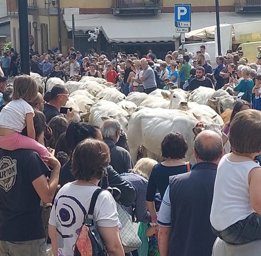 (Foto di repertorio)