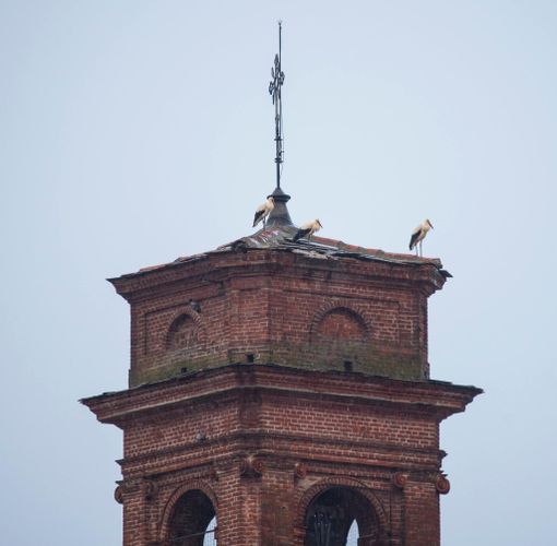 Il campanile di Osasco