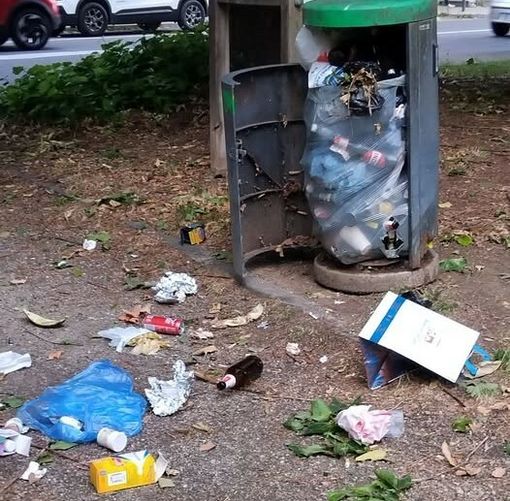 Moncalieri, gli incivili sporcano e vandalizzano i giardini di via Juglaris Moncalieri, gli incivili sporcano e vandalizzano i giardini di via Juglaris
