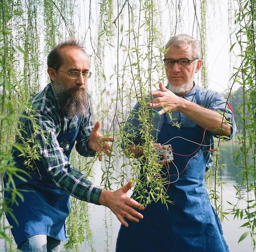 Il teatro va in montagna: al Gran Paradiso spettacoli itineranti nella natura per tutta la famiglia