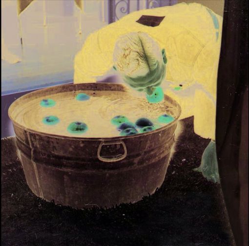 Al Museo della Frutta apre la mostra fotografica "Mele e pere" di Erik Kessel Al Museo della Frutta apre la mostra fotografica "Mele e pere" di Erik Kessel