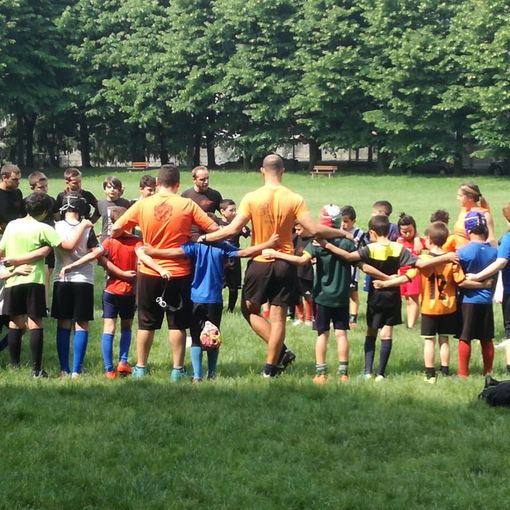Un'invasione arancione al Parco della Certosa di Collegno (VIDEO)