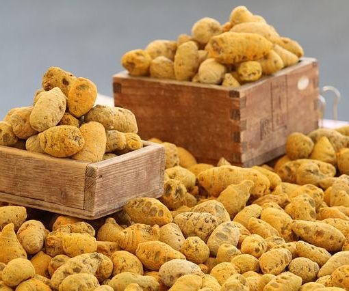 Come riconoscere un buon integratore dimagrante: ingredienti e proprietà