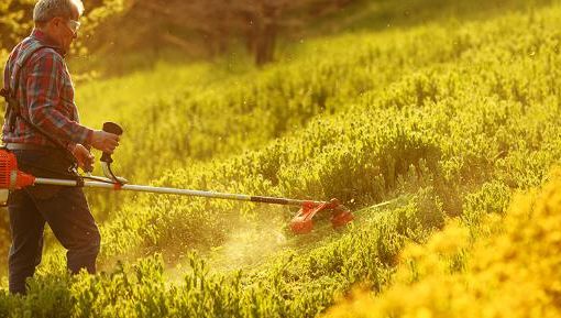 sito agricoltura e giardinaggio