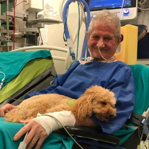 Tutte le foto sono tratte dalla pagina Facebook &quot;UAM Umanimalmente&quot;