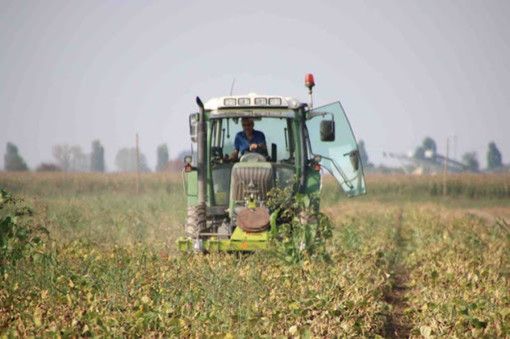 Nuove Tecnologie in Agricoltura: opportunità e innovazione