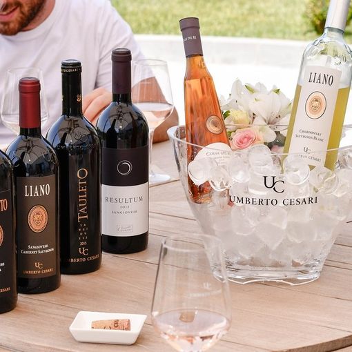 Degustazione Vini: le proposte suggestive della Umberto Cesari