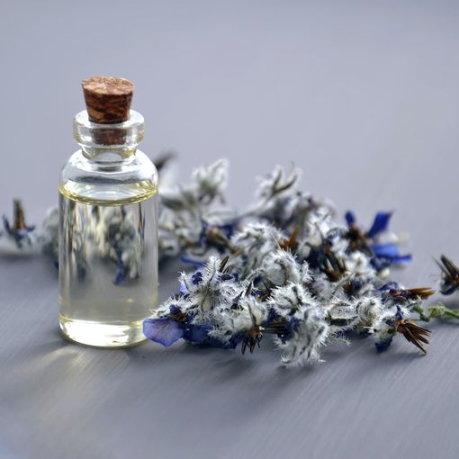 Tutto ciò che c’è da sapere sui profumi di nicchia