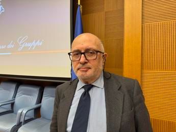 Cultura, bibliografo Solimene: &quot;Dialetti e lingue locali elementi fondanti delle nostre identità&quot;