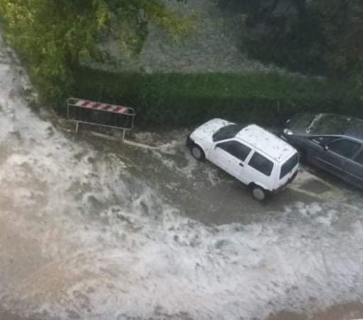 Danni in Canavese a causa della pioggia: ad Agliè un albero finisce sulla scuola