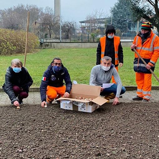 Messer tulipano arriva anche al parco di Crescentino