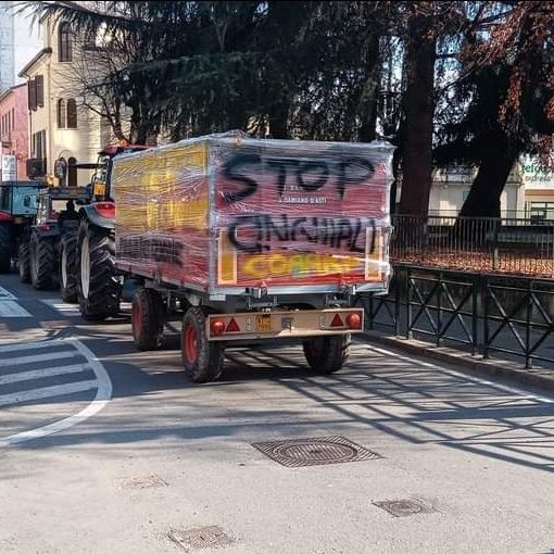 Troppi cinghiali: flash mob di trattori in centro a Chivasso