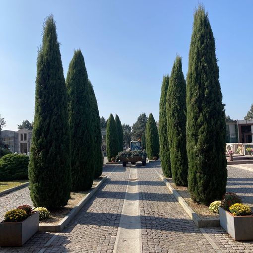 Il cimitero di Chivasso