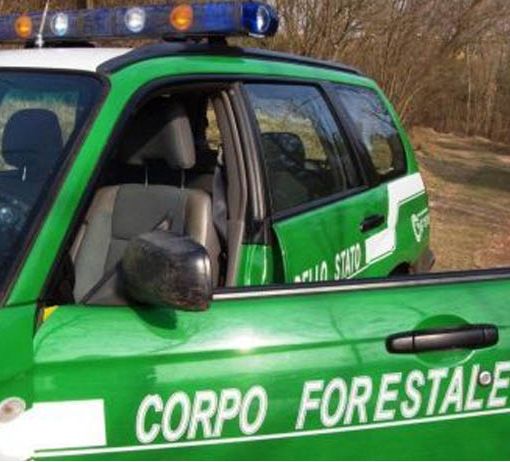 Chivasso perde i carabinieri della forestale