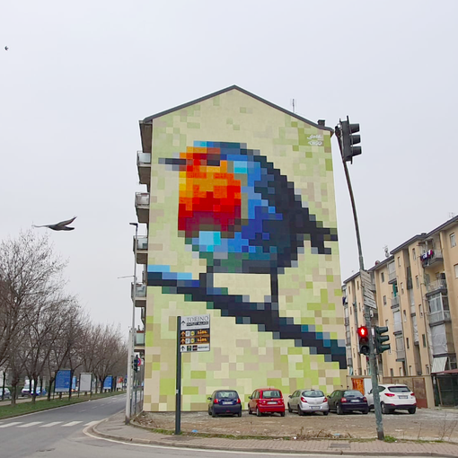 Il murales a forma di pettirosso in corso Piemonte