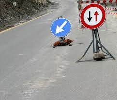 Foto di repertorio