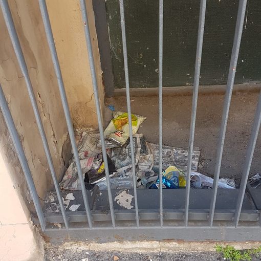 Tra deiezioni canine e rifiuti, via Ceresole affoga nel degrado. Petrarulo: “Quando la pulizia?”