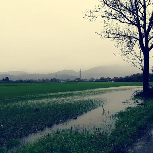 Più di un milione di euro per mettere in sicurezza il rio Freidano di Settimo Torinese