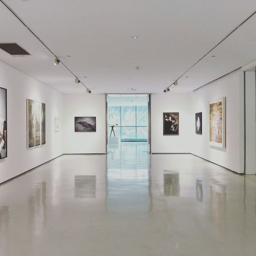 Scopri Sei Musei Imperdibili a New York
