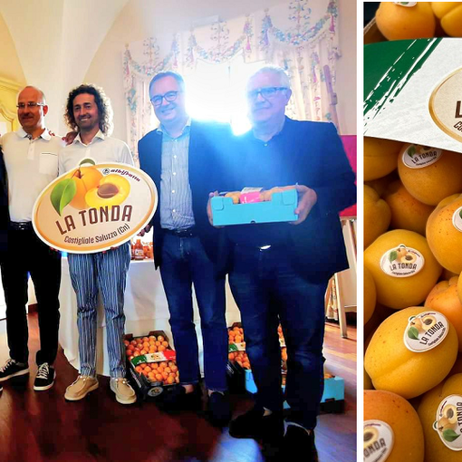 Celebrando l’Albicocca Tonda di Costigliole e i suoi produttori