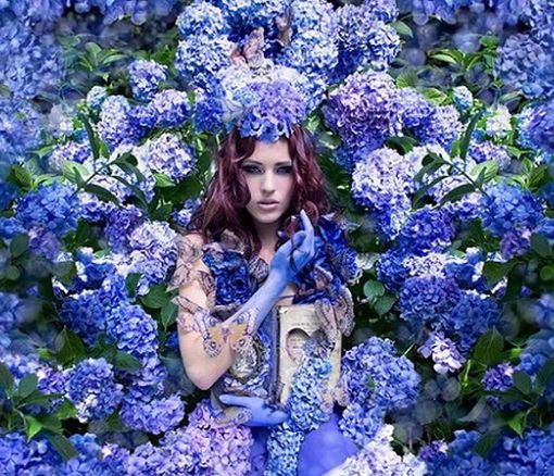 [Photo credits - Kirsty Mitchell - The secret Garden, 2010]