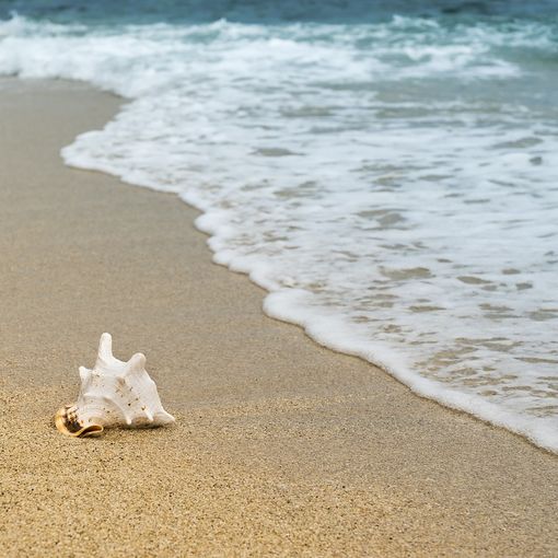 Le spiagge più belle di Alghero: dove andare
