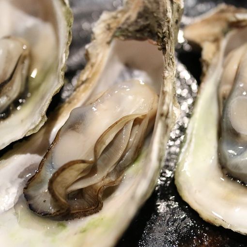 Quali vini abbinare alle ostriche?