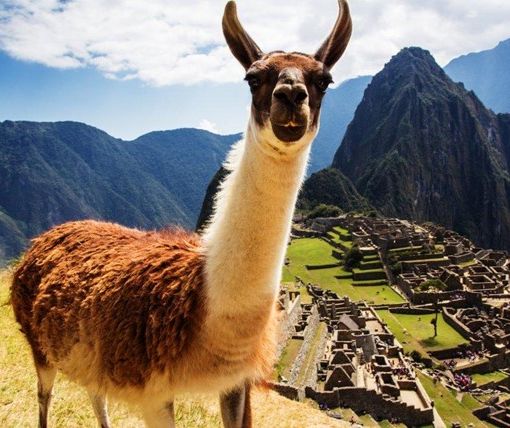 Perù autentico: le proposte DGV Travel alla scoperta di storia, cultura e paesaggi mozzafiato