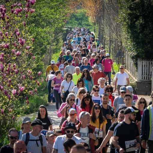 Il serpentone della camminata solidale