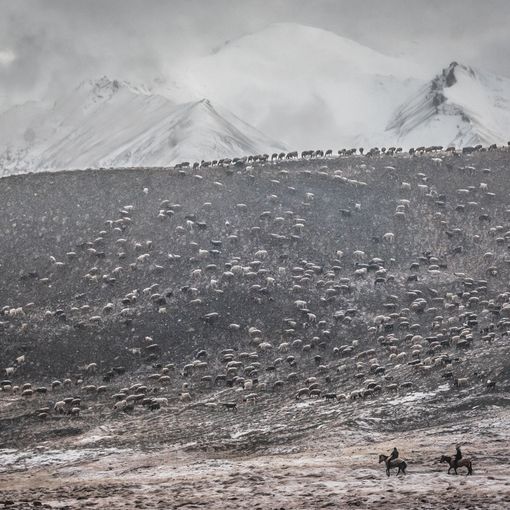A Bricherasio Perlino e Falco raccontano il loro Afghanistan