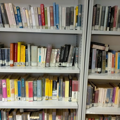 Libri biblioteca Bobbio Pellice