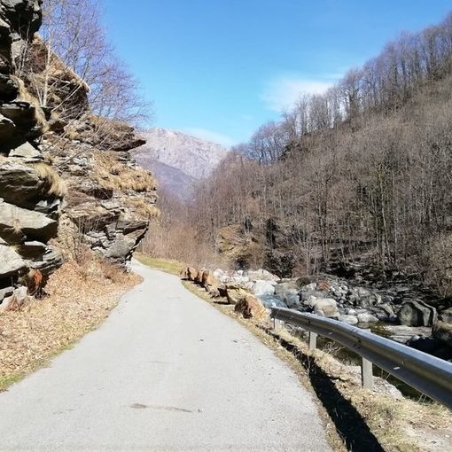 La strada della Comba Carbonieri